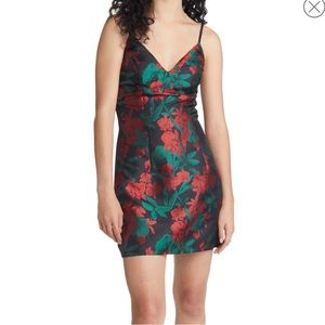 NWT Absolutely Exquisite Floral V-Neck Jacquard Minidress